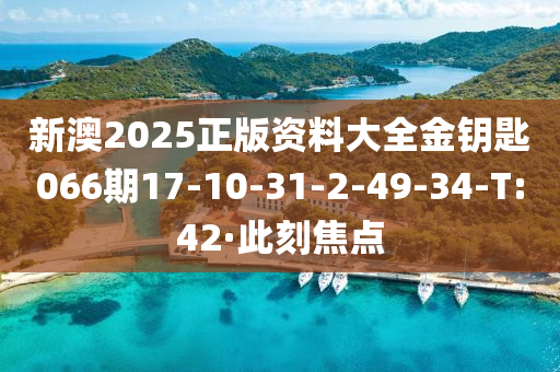 新澳2025正版資料大全金鑰匙066期17-10-31-2-49-34-T:42