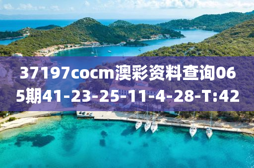 37197cocm澳彩資料查詢065期41-23-25-11-4-28-T:42