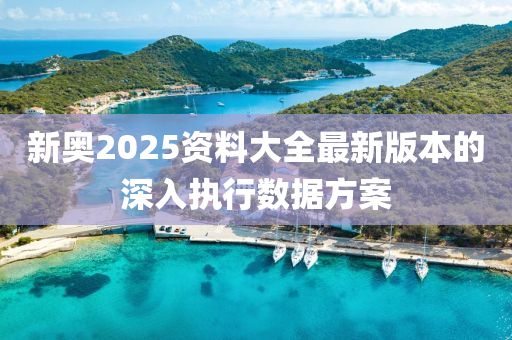 新奧2025資料大全最新版本的深入執(zhí)行數(shù)據(jù)方案