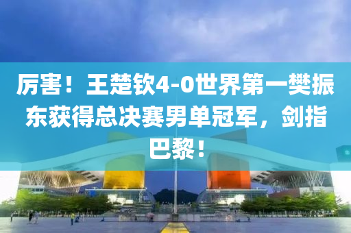 厲害！王楚欽4-0世界第一樊振東獲得總決賽男單冠軍，劍指巴黎！