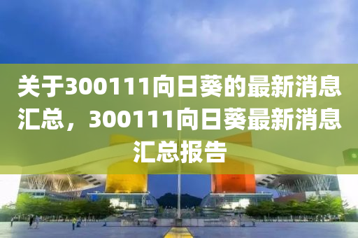 關(guān)于300111向日葵的最新消息匯總，300111向日葵最新消息匯總報告