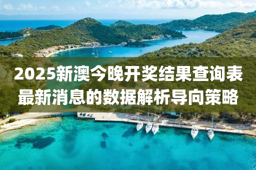 2025新澳今晚開獎結(jié)果查詢表最新消息的數(shù)據(jù)解析導向策略