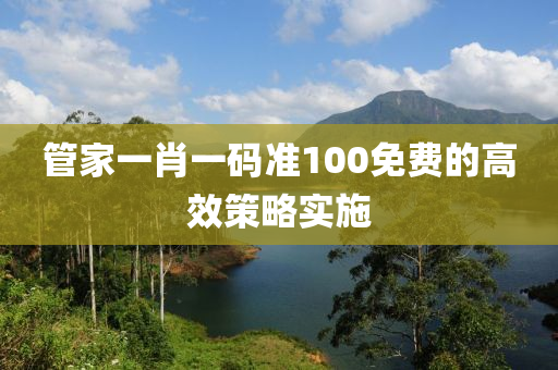 管家一肖一碼準100免費的高效策略實施