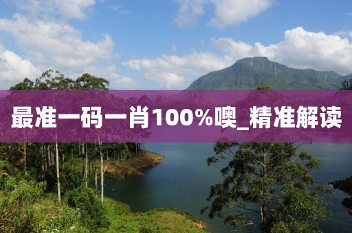 最準(zhǔn)一碼一肖100%噢_精準(zhǔn)解讀