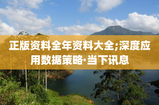 正版資料全年資料大全;深度應(yīng)用數(shù)據(jù)策略·當(dāng)下訊息