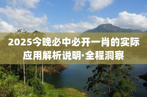 2025今晚必中必開一肖的實際應用解析說明·全程洞察