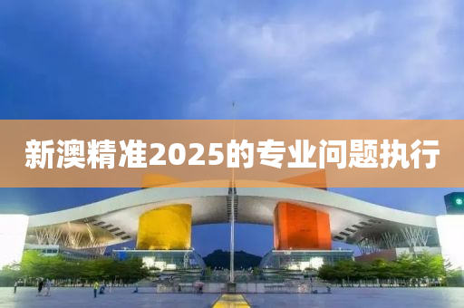 新澳精準(zhǔn)2025的專業(yè)問題執(zhí)行