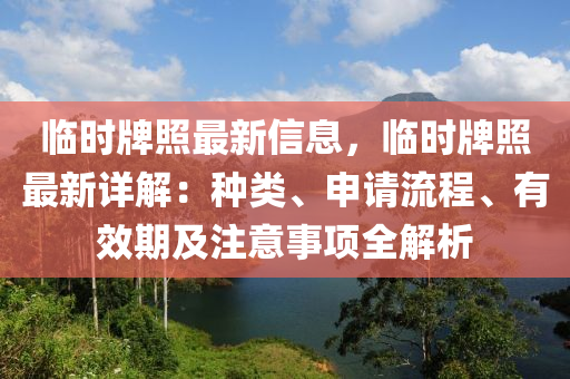 臨時牌照最新信息，臨時牌照最新詳解：種類、申請流程、有效期及注意事項全解析