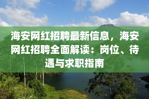 海安網(wǎng)紅招聘最新信息，海安網(wǎng)紅招聘全面解讀：崗位、待遇與求職指南