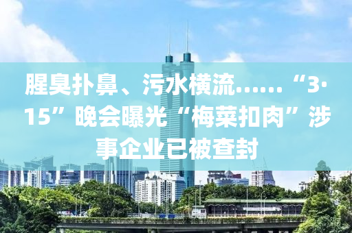 腥臭撲鼻、污水橫流……“3·15”晚會曝光“梅菜扣肉”涉事企業(yè)已被查封