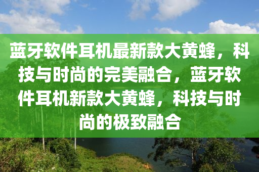 藍(lán)牙軟件耳機最新款大黃蜂，科技與時尚的完美融合，藍(lán)牙軟件耳機新款大黃蜂，科技與時尚的極致融合