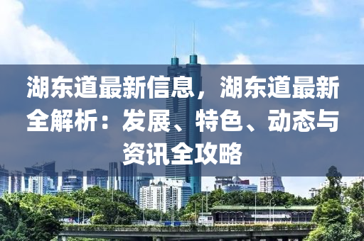 湖東道最新信息，湖東道最新全解析：發(fā)展、特色、動態(tài)與資訊全攻略