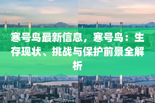 寒號鳥最新信息，寒號鳥：生存現(xiàn)狀、挑戰(zhàn)與保護(hù)前景全解析