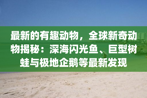 最新的有趣動物，全球新奇動物揭秘：深海閃光魚、巨型樹蛙與極地企鵝等最新發(fā)現(xiàn)