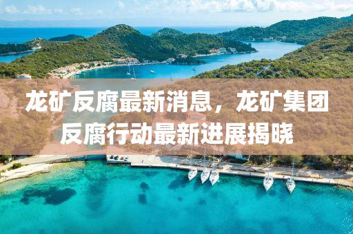 龍礦反腐最新消息，龍礦集團(tuán)反腐行動最新進(jìn)展揭曉