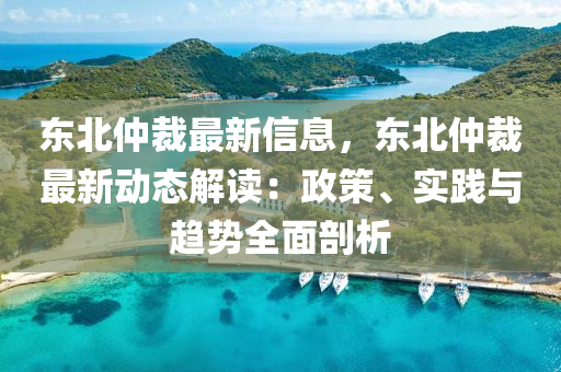 東北仲裁最新信息，東北仲裁最新動(dòng)態(tài)解讀：政策、實(shí)踐與趨勢(shì)全面剖析