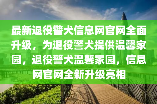 最新退役警犬信息網(wǎng)官網(wǎng)全面升級(jí)，為退役警犬提供溫馨家園，退役警犬溫馨家園，信息網(wǎng)官網(wǎng)全新升級(jí)亮相