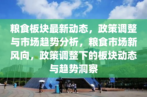 糧食板塊最新動態(tài)，政策調整與市場趨勢分析，糧食市場新風向，政策調整下的板塊動態(tài)與趨勢洞察