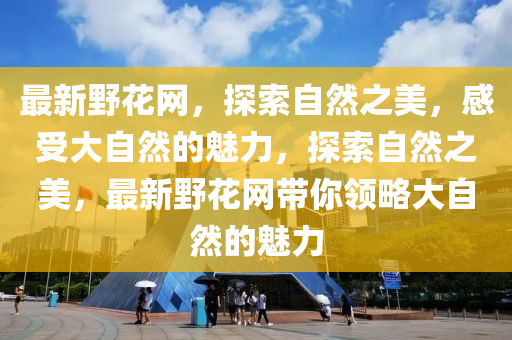 最新野花網(wǎng)，探索自然之美，感受大自然的魅力，探索自然之美，最新野花網(wǎng)帶你領略大自然的魅力