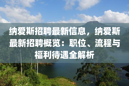 納愛斯招聘最新信息，納愛斯最新招聘概覽：職位、流程與福利待遇全解析