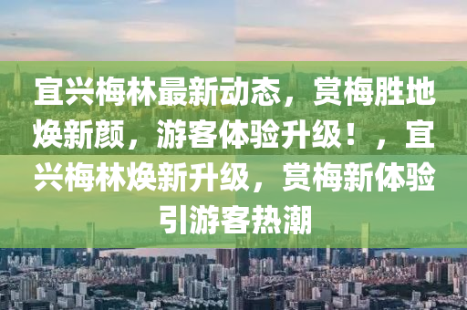 宜興梅林最新動態(tài)，賞梅勝地煥新顏，游客體驗升級！，宜興梅林煥新升級，賞梅新體驗引游客熱潮