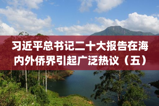 習(xí)近平總書記二十大報(bào)告在海內(nèi)外僑界引起廣泛熱議（五）