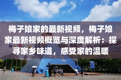 梅子娘家的最新視頻，梅子娘家最新視頻概覽與深度解析：探尋家鄉(xiāng)味道，感受家的溫暖