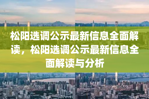 松陽(yáng)選調(diào)公示最新信息全面解讀，松陽(yáng)選調(diào)公示最新信息全面解讀與分析