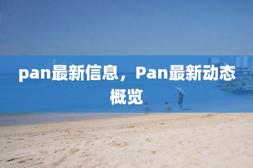 pan最新信息，Pan最新動態(tài)概覽