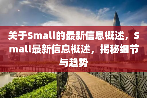 關(guān)于Small的最新信息概述，Small最新信息概述，揭秘細(xì)節(jié)與趨勢