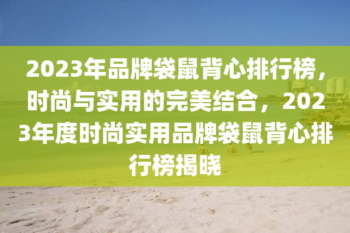 2023年品牌袋鼠背心排行榜，時尚與實用的完美結(jié)合，2023年度時尚實用品牌袋鼠背心排行榜揭曉