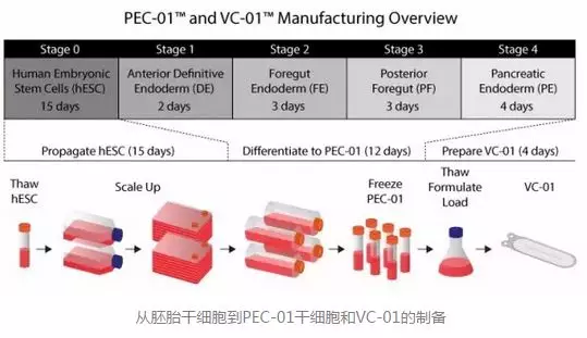 最新藥降糖，突破性新藥引領血糖管理新篇章