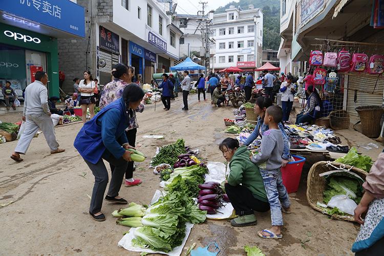 地震最新消息，今日震區(qū)傷亡情況實(shí)時(shí)追蹤，今日地震最新動(dòng)態(tài)，震區(qū)傷亡情況實(shí)時(shí)報(bào)道