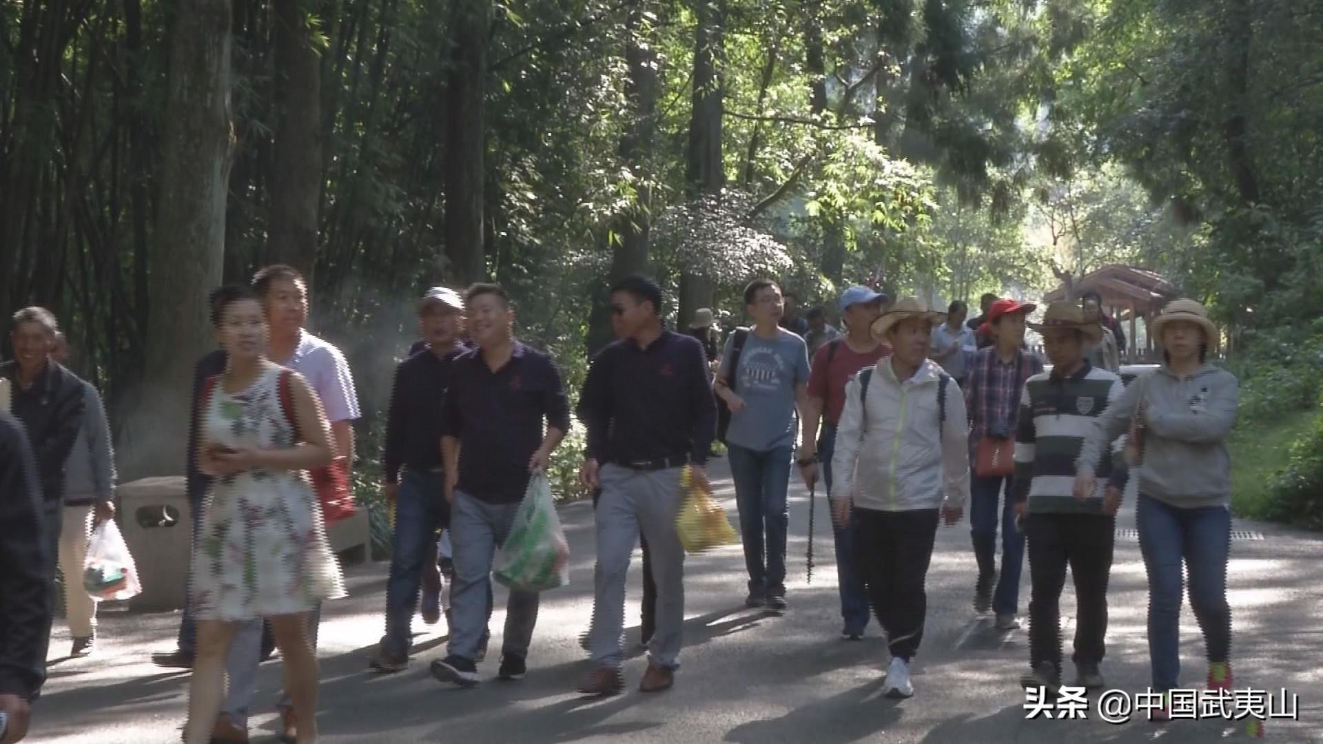 武夷山最新預(yù)約攻略，如何輕松預(yù)約心儀的風(fēng)景之旅，輕松預(yù)約武夷山，最新預(yù)約攻略助你暢游心儀風(fēng)景