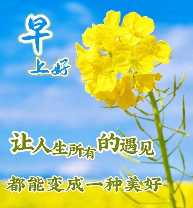 溫馨早安圖片最新，晨曦溫馨，早安時(shí)光，最新早安圖片精選