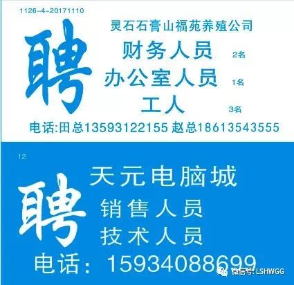 芳橋最新招聘，探索職業(yè)發(fā)展的新機(jī)遇，芳橋最新招聘，職業(yè)發(fā)展的新機(jī)遇探索