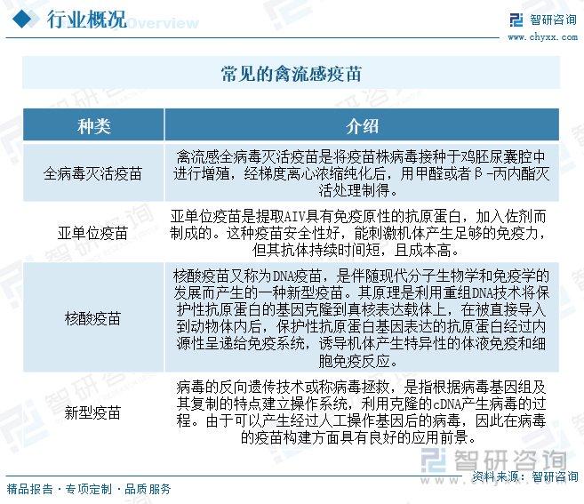 豬流感最新情況，防控措施升級，疫苗研發(fā)進展，豬流感防控升級與疫苗研發(fā)動態(tài)速遞