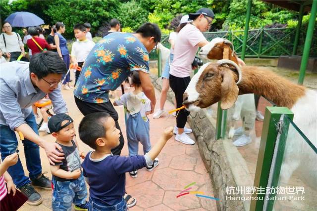 萬態(tài)野生動物世界 奔跑吧(韓文版) 體驗