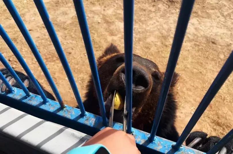 鄂爾多斯動(dòng)物園