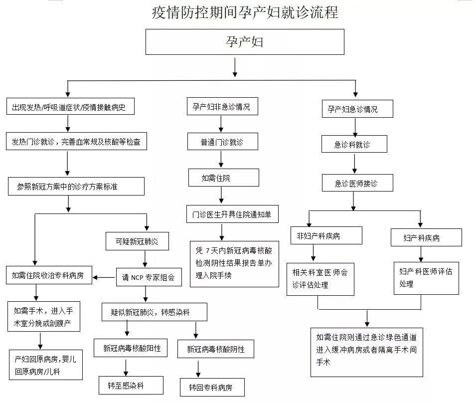 皮試最新流程，皮試最新操作流程