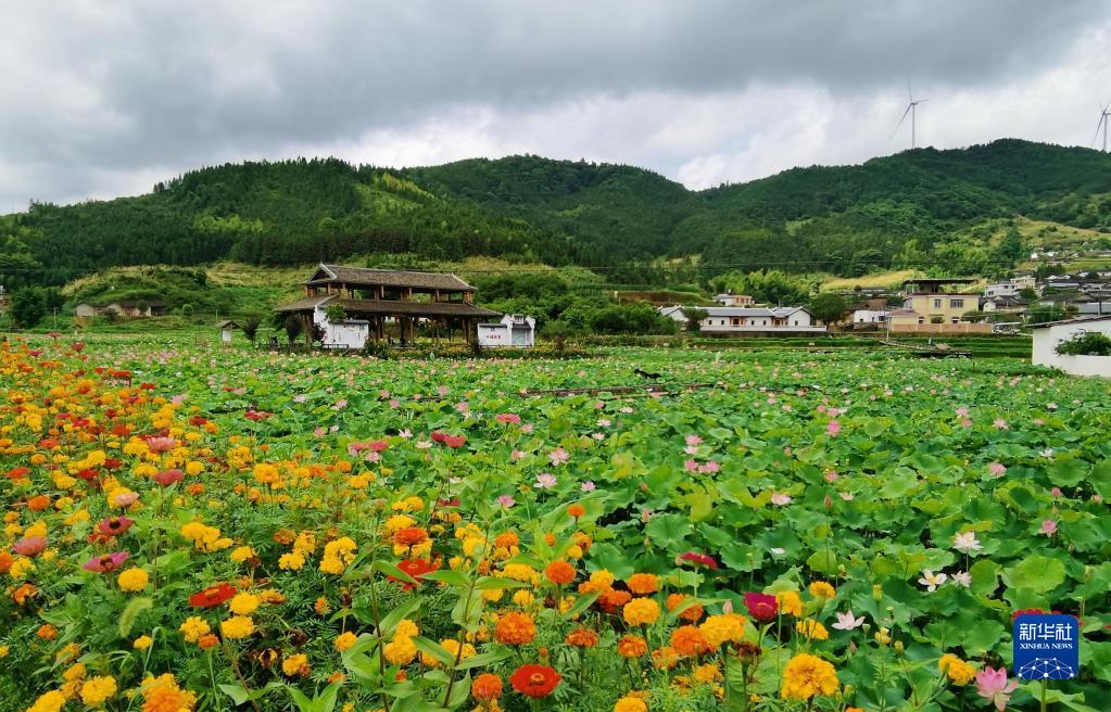 平遠(yuǎn)檢察院最新人員公示，全面了解檢察院工作動(dòng)態(tài)，平遠(yuǎn)檢察院人員更新公示，一覽工作動(dòng)態(tài)新貌