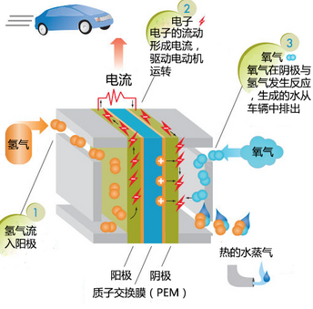 新能源包括.，新能源領(lǐng)域概覽，多元化能源新時代