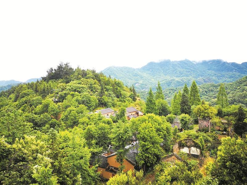 中山東方名都最新房價,中山東方名都最新房價走勢，中山東方名都最新房價及走勢分析