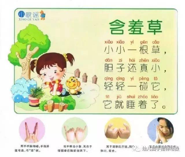 幼兒小班最新手指律動，趣味無限，幼兒小班創(chuàng)意手指律動集錦