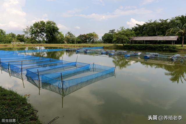 活水養(yǎng)魚技術(shù)規(guī)范最新版，活水養(yǎng)魚技術(shù)規(guī)范最新版詳解