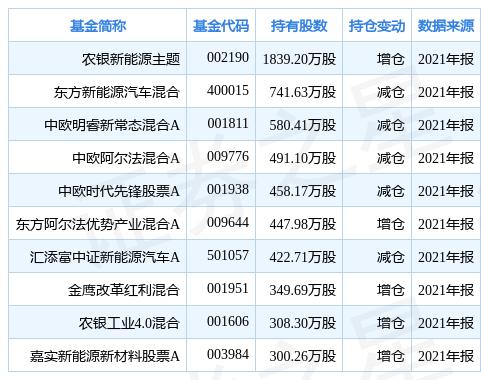 新能源汽車重倉(cāng)概念股票，投資趨勢(shì)與前景展望，新能源汽車重倉(cāng)概念股票，投資趨勢(shì)與前景展望分析