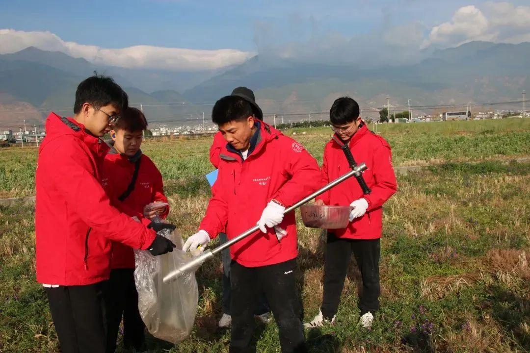 燃油車車主福利升級(jí)，中標(biāo)買新能源車，綠色出行新選擇！，新能源車補(bǔ)貼政策助力燃油車車主綠色轉(zhuǎn)型