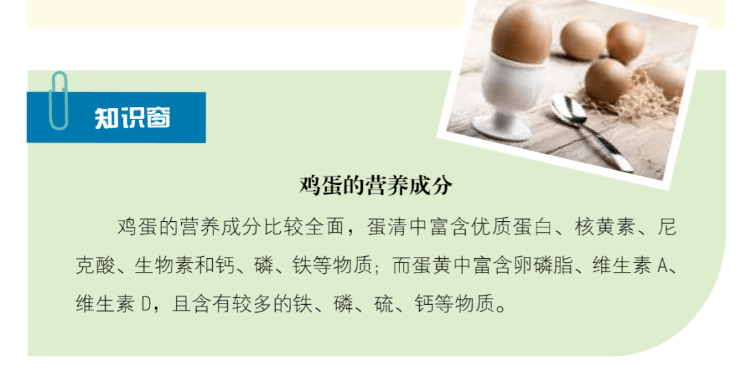 最新研究揭示嘔吐新機(jī)制，為治療帶來新希望，突破性研究解密嘔吐新機(jī)制，為未來治療開辟新路徑